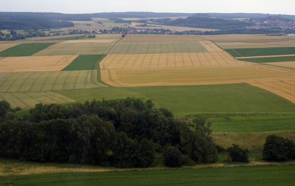 Auf einem Plateau oberhalb der Wetterniederung: das Areal von Kastell und Lagerdorf (Foto: S. Sulk).