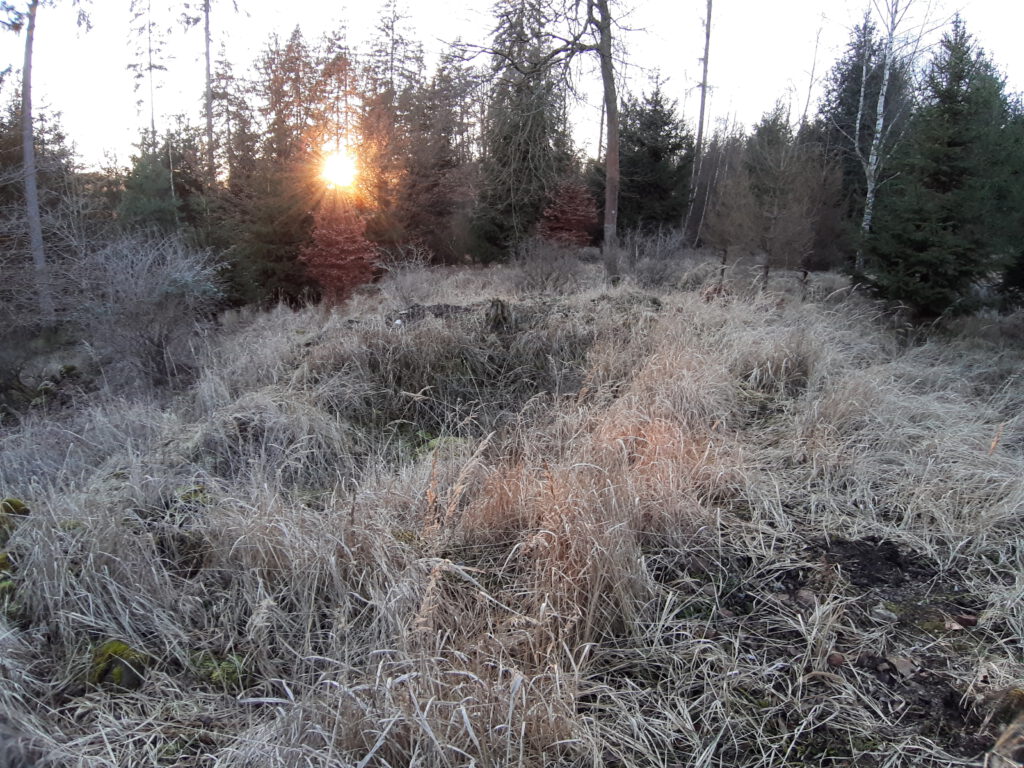 Die AGiH wünscht einen schönen 1. Advent