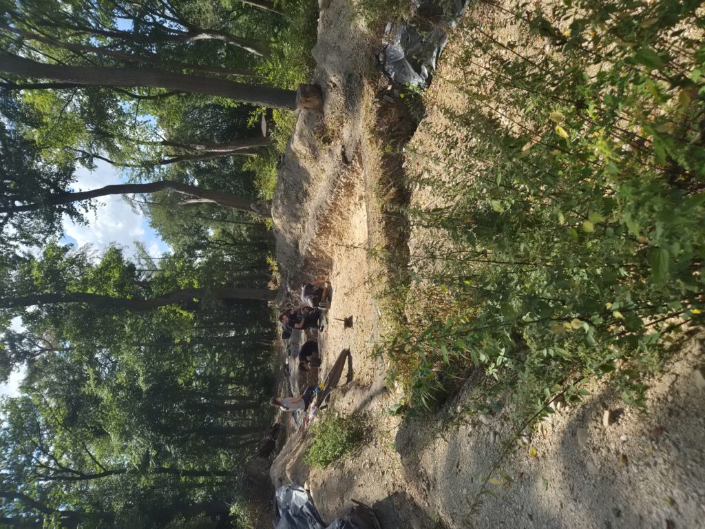 Blick auf die Grabungsflächen im Bereich des Großgrabhügels auf dem Kapellenberg. Foto: G. Weber.
