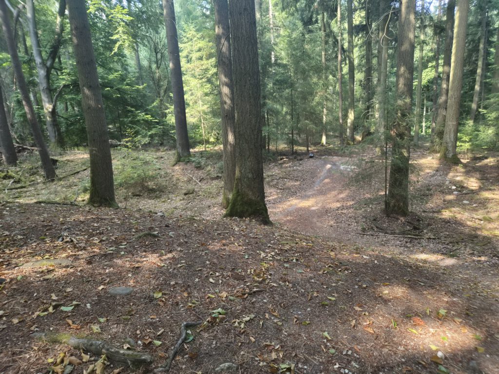 Die Michelsberger Befestigung aug dem Kapellenberg. Blick vom Hauptwall auf den Graben und den kleineren Vorwall. Foto: G. Weber